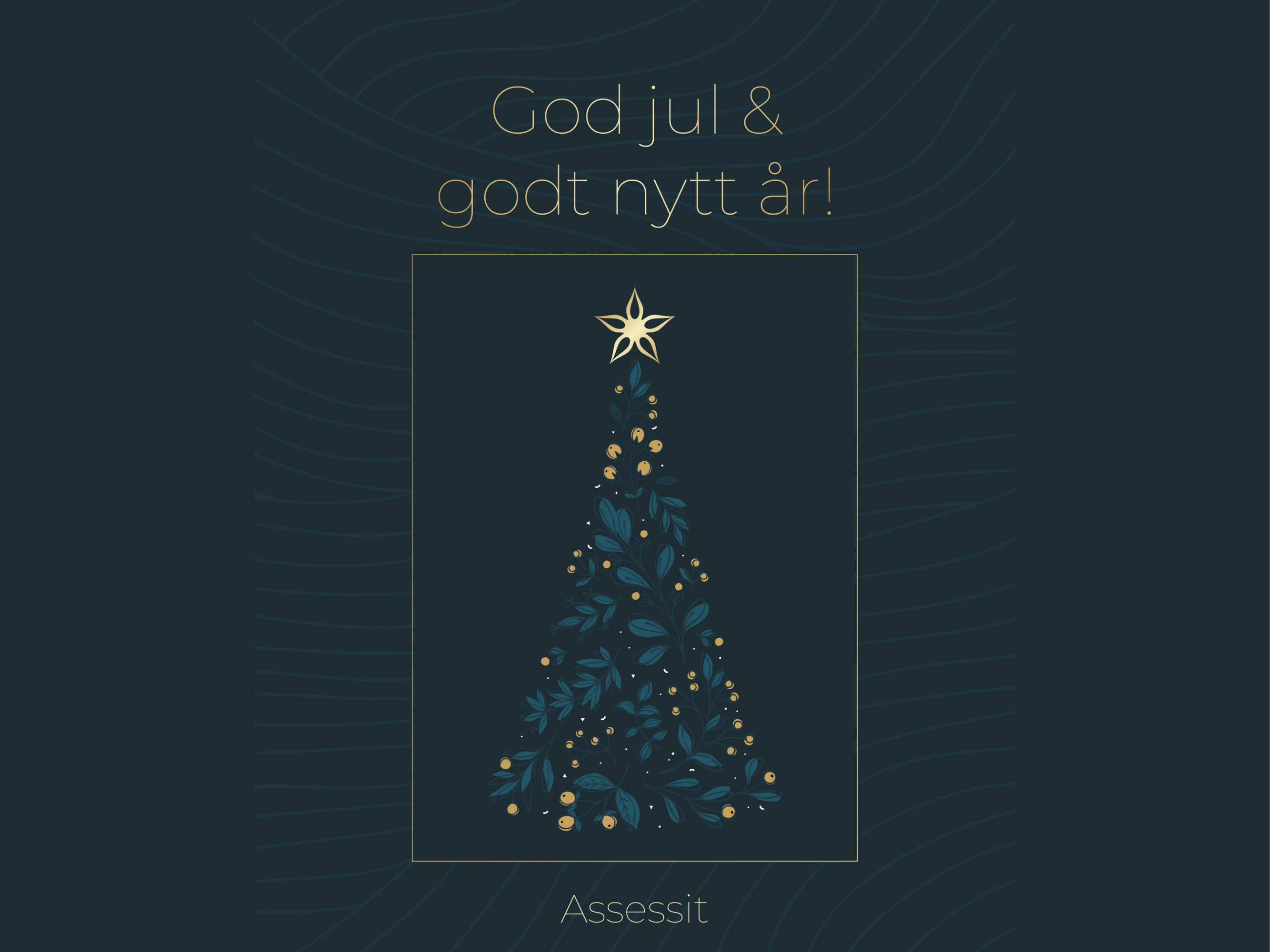 God Jul Og Godt Nytt R Assessit